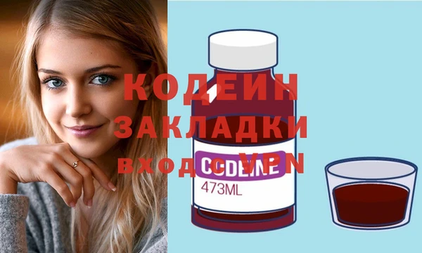 крисы Бородино