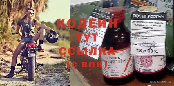 крисы Бородино