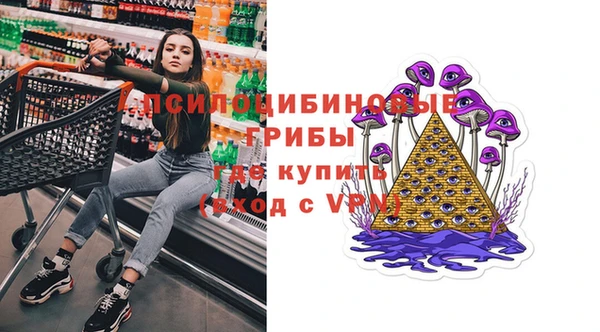 крисы Бородино