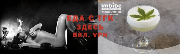 крисы Бородино