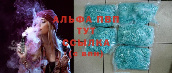 крисы Бородино