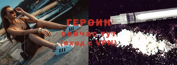 крисы Бородино