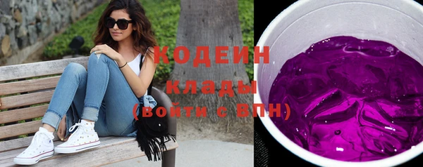 крисы Бородино
