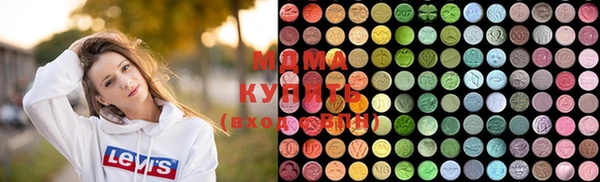 крисы Бородино
